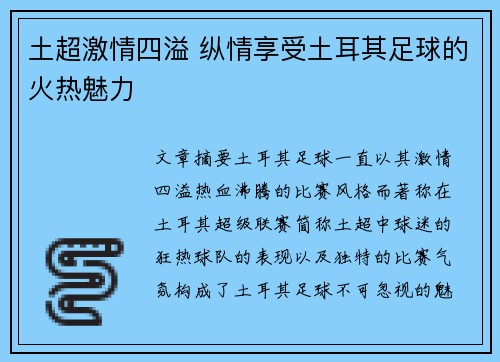 土超激情四溢 纵情享受土耳其足球的火热魅力
